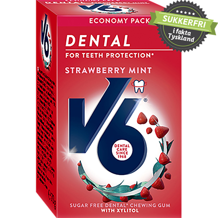 V6 Dental Strawberry Mint 70 g