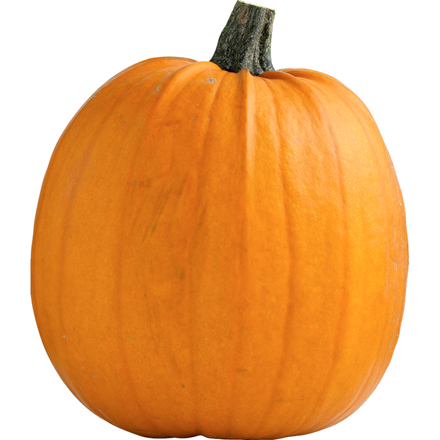 Halloween Græskar 2,5-7 kg