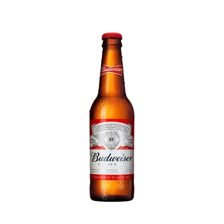 Budweiser 5% 24x0,33 l Flasker
