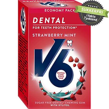 V6 Dental Strawberry Mint 70 g