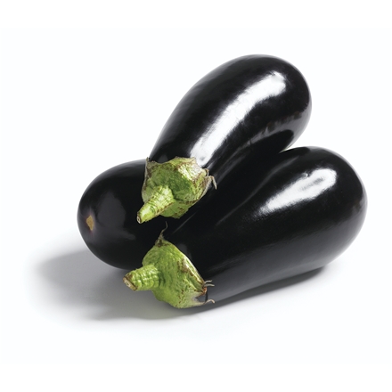 Aubergine