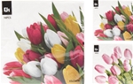 Servietter Tulipaner
